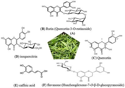 Therapeutic Effect of Ilex hainanensis Merr. Extract on Essential Hypertension: A Systematic Review and Meta-Analysis of Randomized Controlled Trials